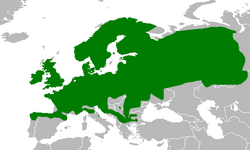 Rasprostranjenost livadne smeđe žabe