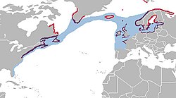 Rasprostranjenost na sjevernoj polutci: ██ Gniježđenje ██ Cijela godina ██ Prezimljavanje
