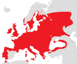 Rasprostranjenost crne johe