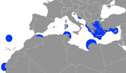 Staništa morske medvjedice