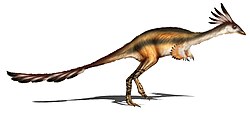 Restauracija vrste Alvarezsaurus calvoi