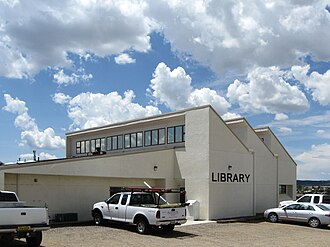 Javna knjižnica u Edgewoodu