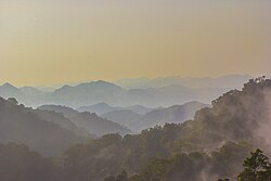 Šumski kompleks Kaeng Krachan