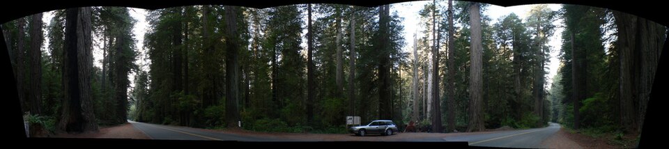 Šuma obalnih sekvoja u NP Redwood