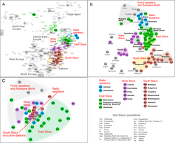Genetic structure within European context according to three genetic systems atDNA (A), YDNA (B) and mtDNA (C) per Kushniarevich et al. (2015)
