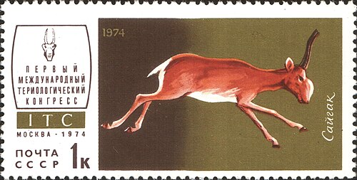 Sajga na poštanskoj marki SSSR-a, 1974.