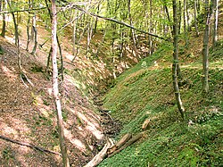 Jaruga — Nowy Sacz, Poljska.