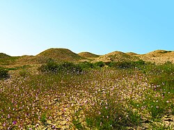 Dilmunski grobni humci