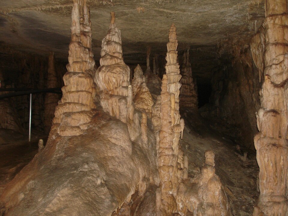 Datoteka:Mammoth Cave National Park 005.jpg