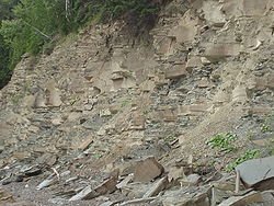 Nacionalni park Miguasha