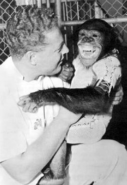 dva hominida: čovjek (Homo sapiens) i čimpanza (Pan troglodytes)