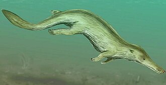 umjetnički prikaz Kutchicetusa