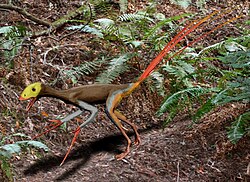 Rekonstrukcija Epidexipteryxa