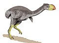 Dromornis