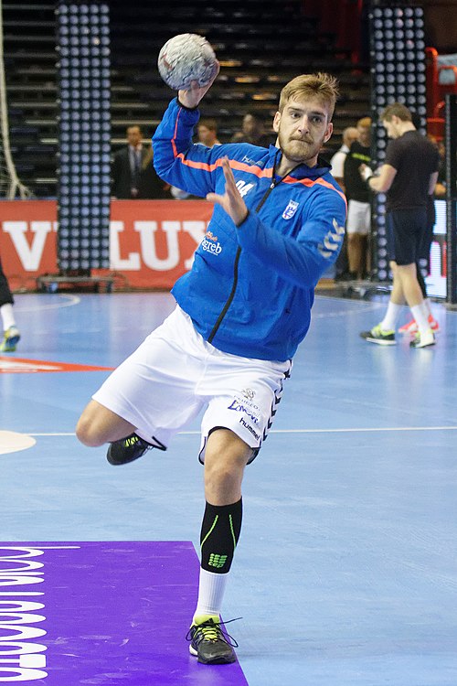 Datoteka:Domagoj Pavlovic 20151011.jpg