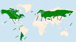 Područje rasprostranjenosti sove močvarice