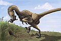 Saurornitholestes sullivani