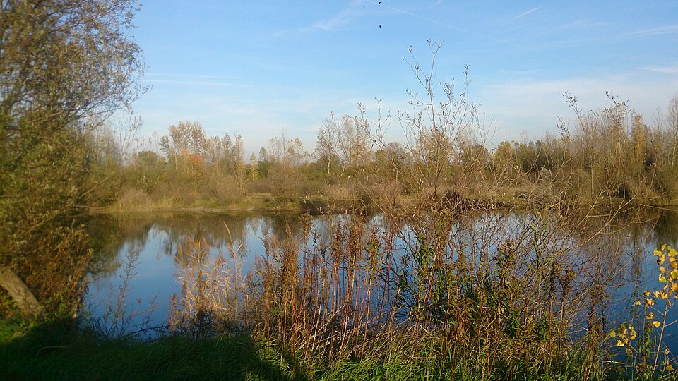 Datoteka:LOKA2 b.jpg