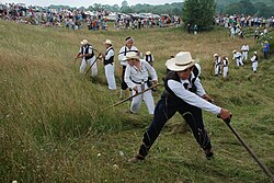 Manifestacija Kosidba na Rajcu