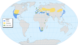 Područje rasprostranjenosti crnogrloga gnjurca (žuto: za vrijeme parenja, plavo: zimi, zeleno: cijele godine)