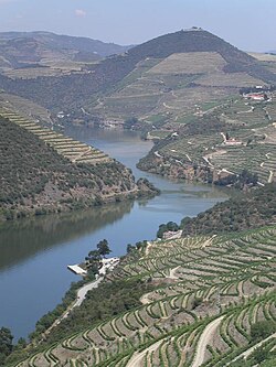 Vinarsko područje Alto Douro