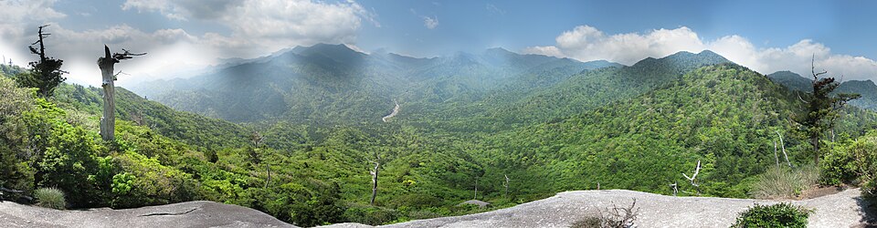 Panorama prašume Yakusugi na Yakushimi