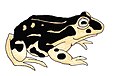 Rhinella atacamensis