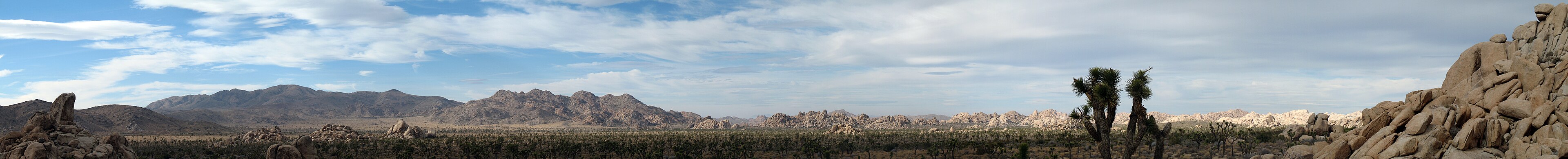 Panorama nacionalnog parka Joshua Tree