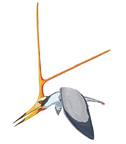 Umjetnički prikaz Nyctosaurusa