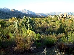 Zaštićena cvjetna područja rtova