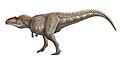 Giganotosaurus carolinii