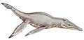 Pliosaurus brachydeirus