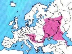 Rasprostranjenost crnooka deverika