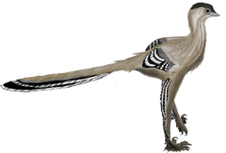 Restauracija mladog primjerka