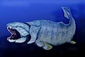 Dunkleosteus (10 m) je bila divovska riba iz perioda devona.