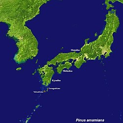 Područje rasprostranjenosti: povećaj kartu i vidi otoke pri dnu karte