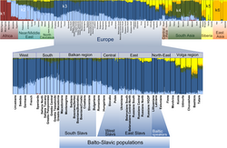 Admixture analysis on the resolution level of 6 assumed ancestral populations per Kushniarevich et al. (2015)