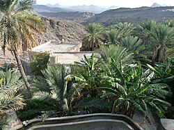 Sustavi navodnjavana Afladž