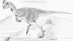 Ilustracija Oviraptora