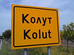 Kolut