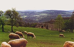 Mediteranski poljoprivredno-pastirski kulturni krajolik Caussesa i Cévennesa