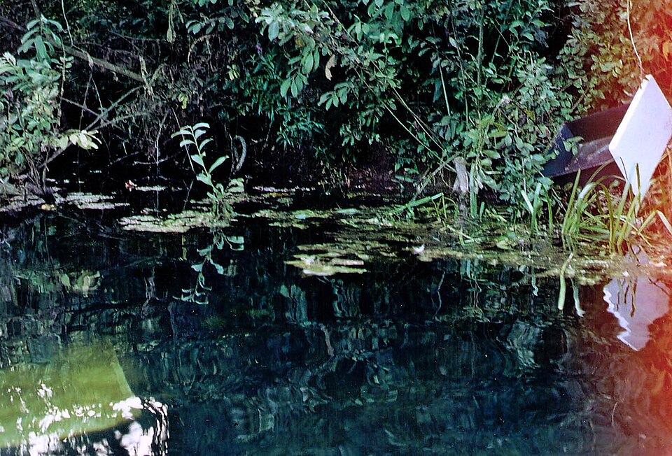 Datoteka:Onesnazenje reke Lahinje 2007.JPG