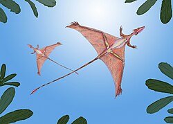 Restauracija dva primjerka