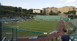 Stadio Artemio Franchi