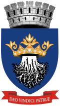 Grb Braşova