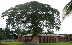 Džamija 60 grobnica u Bagerhatu