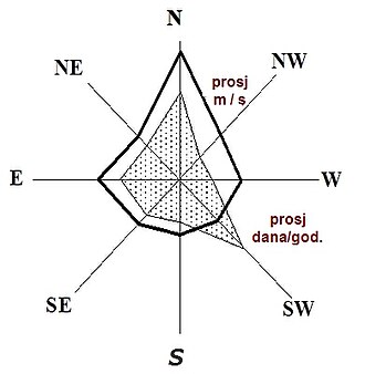 romanska ruža vjetova