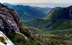 Bukove prašume u Karpatima i drugim područjima Europe