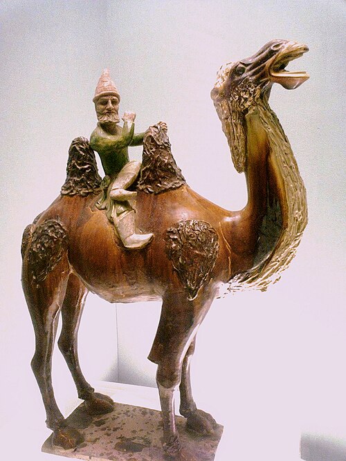 Datoteka:Westerner on a camel.jpg