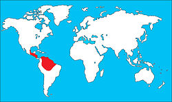 Rasprostranjenost crveno-modre are